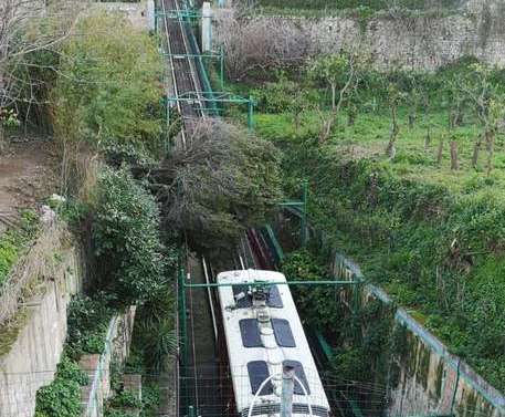 Maltempo-funicolare-albero-capri