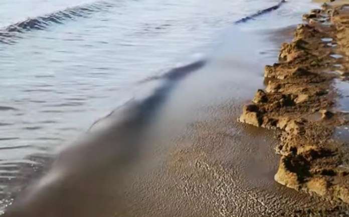 acqua nera