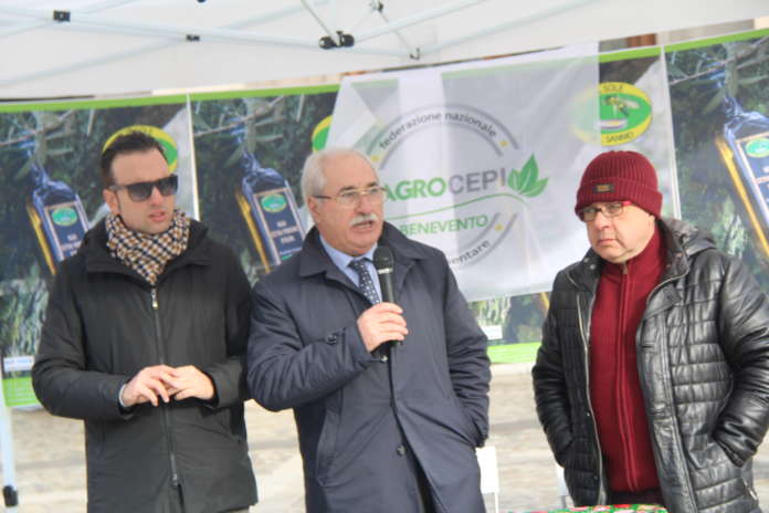 agrocepi benevento (1)
