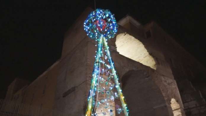 albero triggio