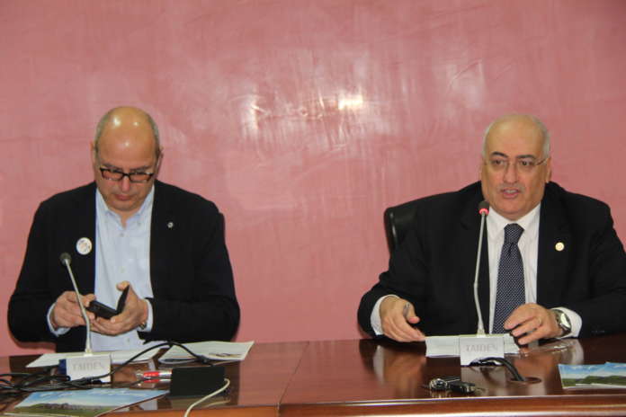 ferrante e mottola