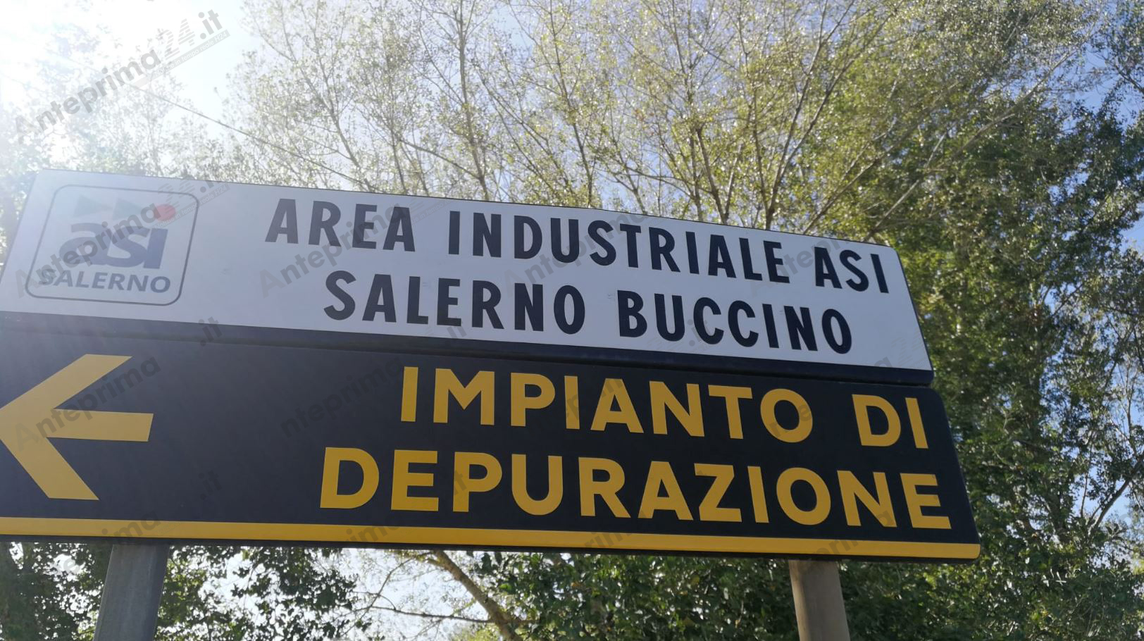 insegna buccino