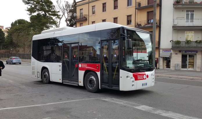 trotta bus bn