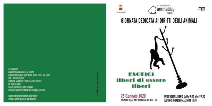 Animal Day Napoli