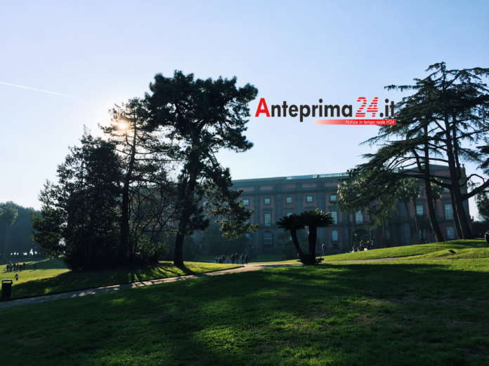 Capodimonte