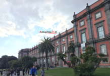 Torna la #domenicalmuseo, i siti da visitare a Napoli e dintorni