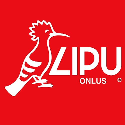 Logo lipu
