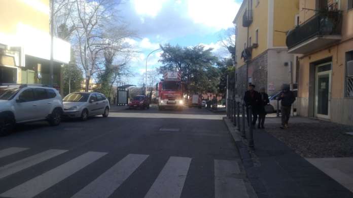 Via del Pomerio chiusa intervento alberi 03