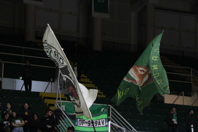 Scandone Avellino Scandone Avellino