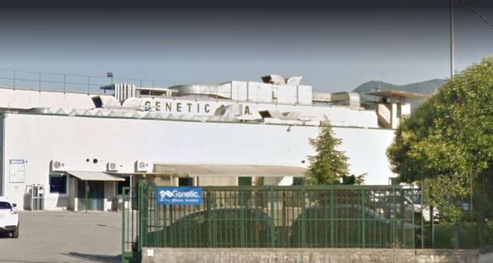 genetica spa fisciano