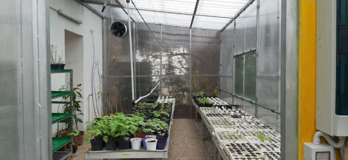 giardino minerva 1