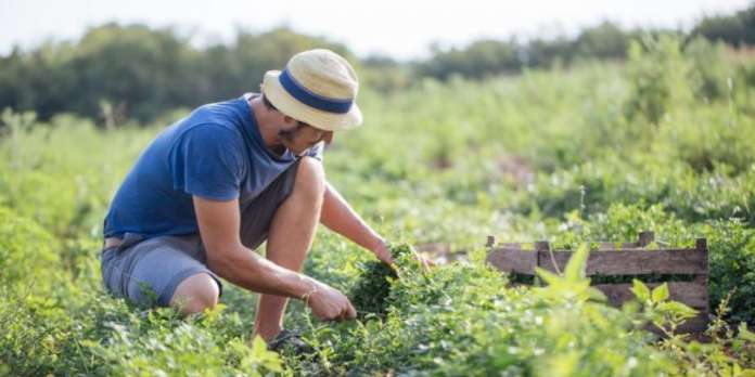 giovani-agricoltori-1280x640
