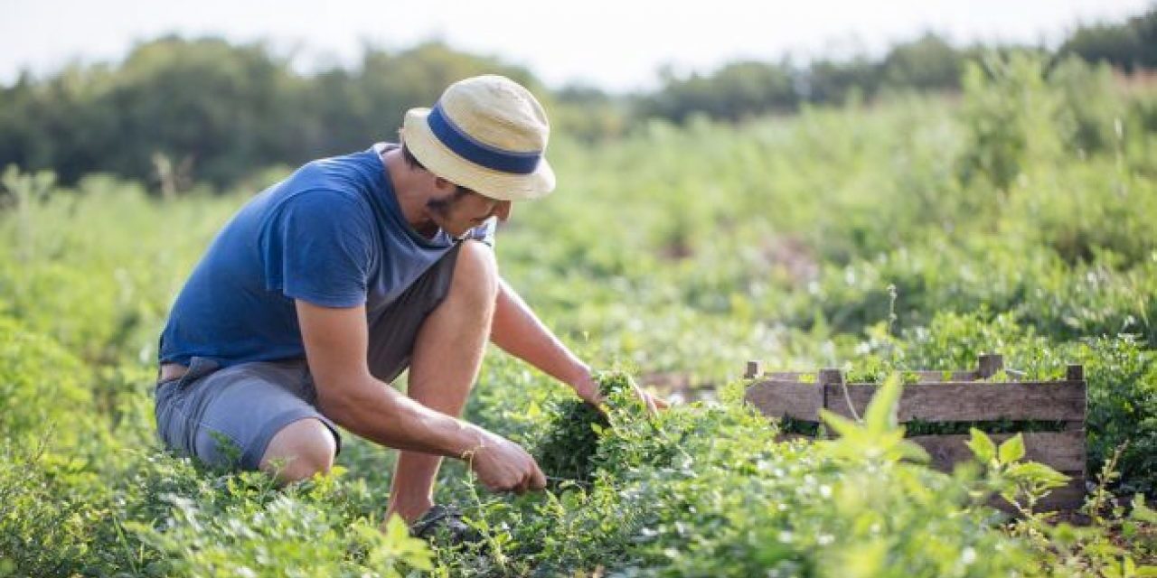 giovani-agricoltori-1280x640