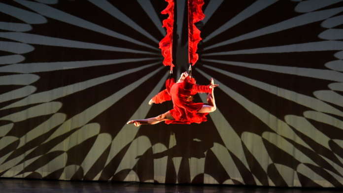momix Alice