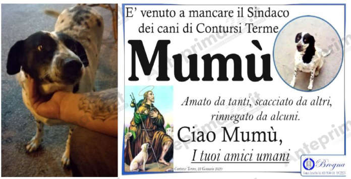 msnifesto mumù tagliato