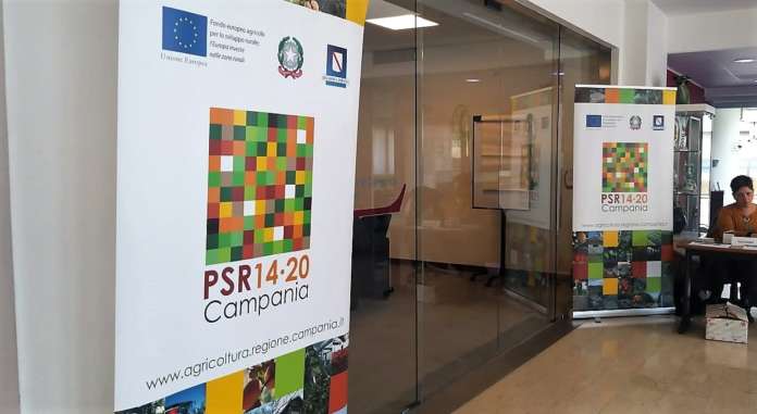 PSR 14-20