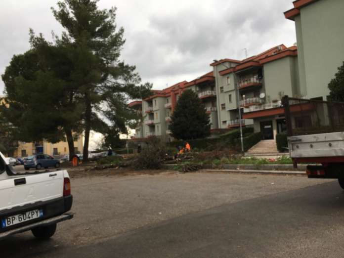 via pirandello taglio alberi
