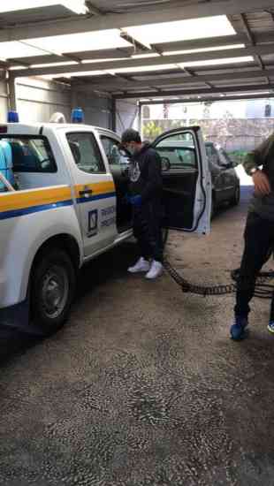 Autolavaggio Pellezano 01