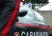 Monteforte Irpino, 62enne aggredito da un branco di cani: la solidarietà del sindaco