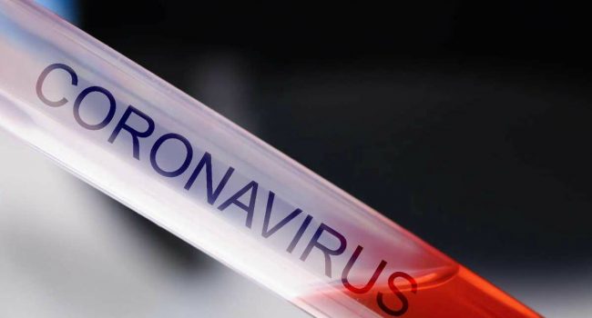 coronavirus foto 03