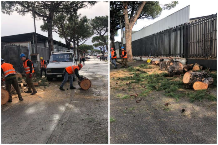 ercolano coop