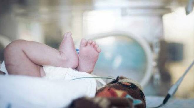 neonata covid-19