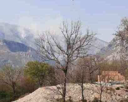 WhatsApp Image 2020-04-12 at 18.46.44