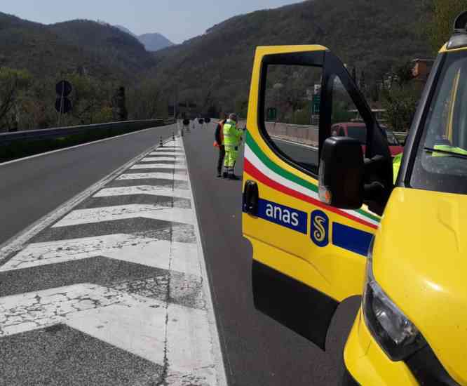 Anas strada