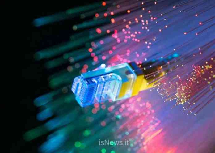 fibra