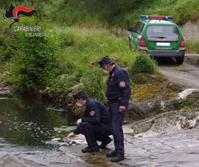 Carabinieri forestali