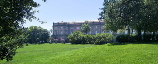 Bosco di Capodimonte