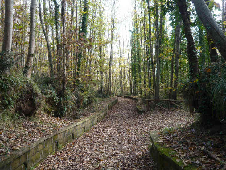 Parco dei Camaldoli