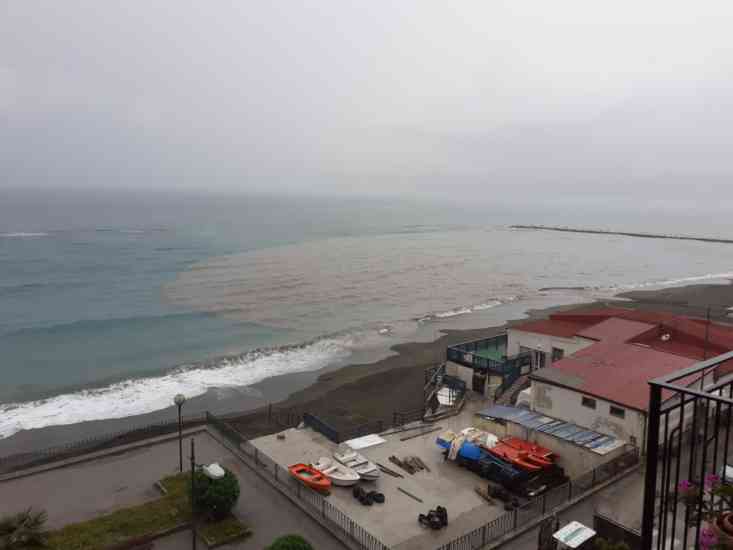 mare marrone mercatello
