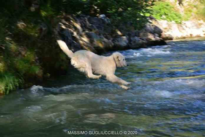 vagnatura contursi terme 2