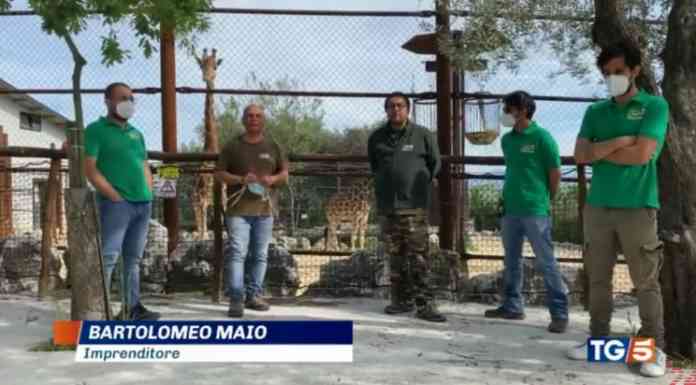 zoo delle maitine