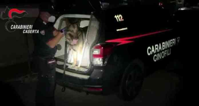 cane carabinieri
