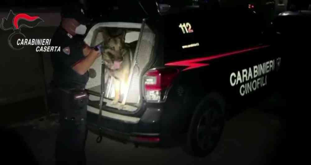 cane carabinieri