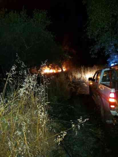 incendio terreno sindaco2