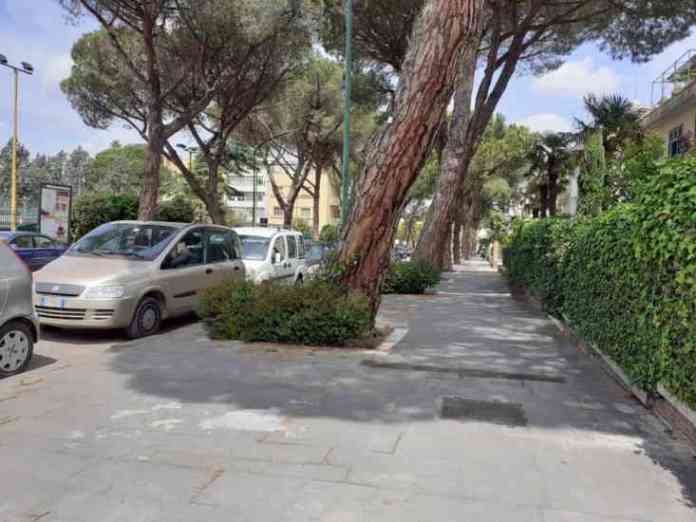pini viale atlantici 6