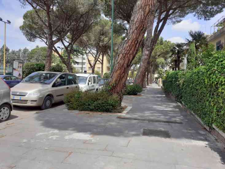 pini viale atlantici 6