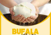Bufala Village, venerdì si comincia: show cooking, burattini, swing e arte
