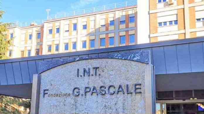 Pascal
