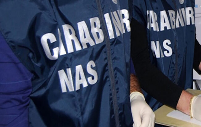 come-entrare-nei-nas-carabinieri-737x415-1-650x412
