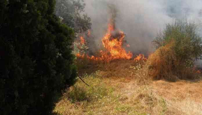 incendio calvi4