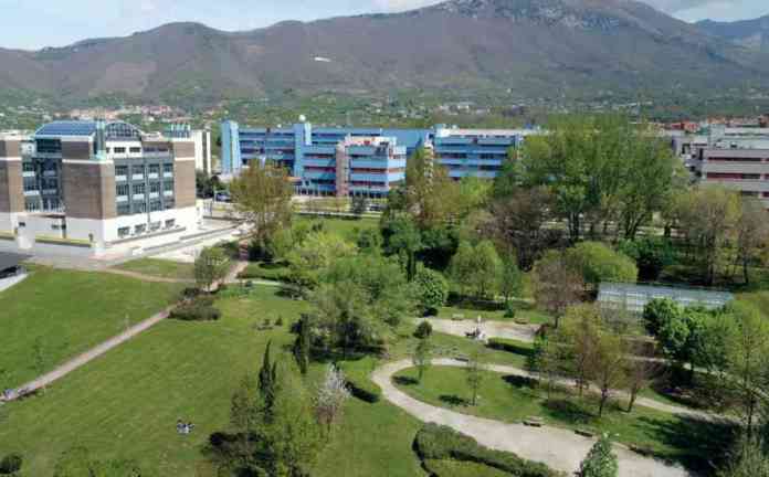 università di salerno