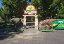 Napoli, arrivano i dinosauri: riapre lo ZOOrassic Park