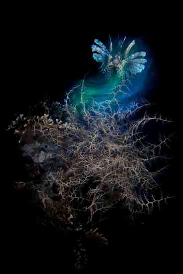 Pietro_Formis_AQUA_14