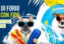 Forio diventa dog friendly: spiagge aperte agli amici a quattro zampe