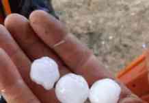 Maltempo tra Sannio ed Irpinia, Coldiretti: “Pesanti danni all’agricoltura” (FOTO)