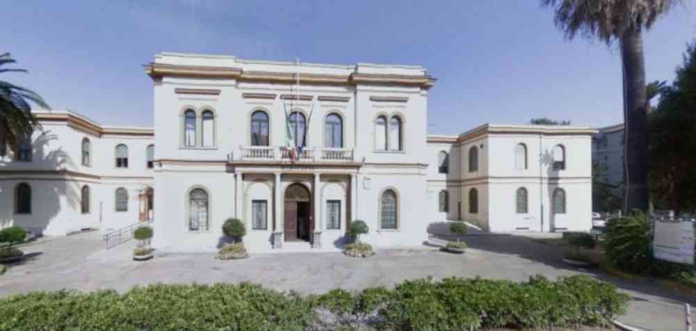 municipio